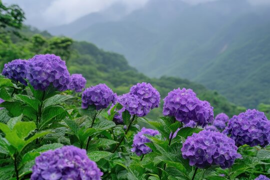 A serene landscape of lush green mountains under a cloudy sky, with vibrant purple flowers blooming in the foreground and a tranquil river winding its way through the valley. - Powered by Adobe
