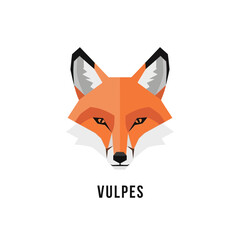 Obraz premium Geometric fox head illustration with orange fur, white markings, and black ear tips, accompanied by the word 