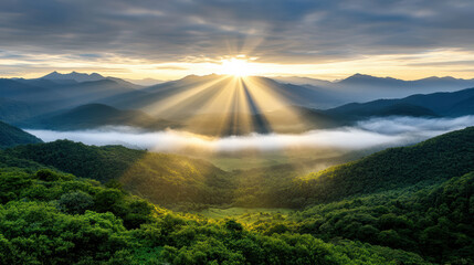 Sunlight misty valley sunrise rays over green mountain forest, serene atmosphere