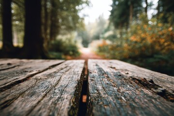 Fototapeta premium Weathered wooden table surface in sharp focus overlooking a soft-blurred forest trail.
