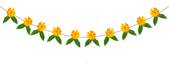  Indian festival Thoranam or Toran of marigold flowers isolated on transparent background with mango leaf, hanging in entrance of house, reception, mall.