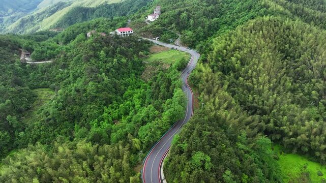 Overlooking a mountain road winding through lush bamboo forests