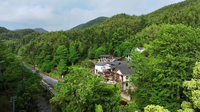 Overlooking a mountain road winding through lush bamboo forests