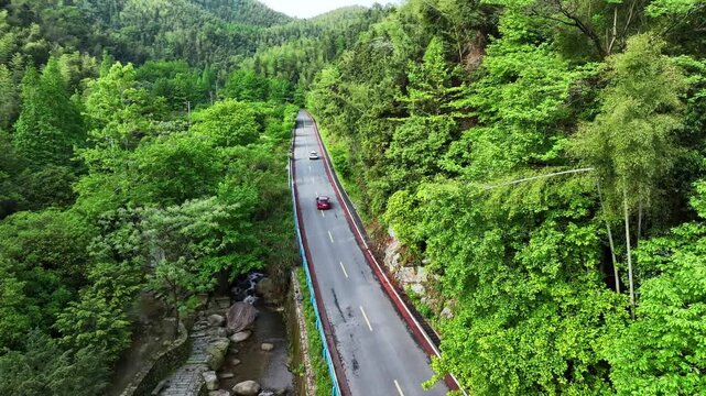 Overlooking a mountain road winding through lush bamboo forests