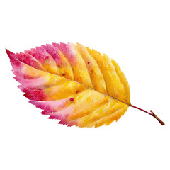 Ethereal blend of golden yellow and pastel orange concept. Vibrant autumn leaf showcasing beautiful fall colors.