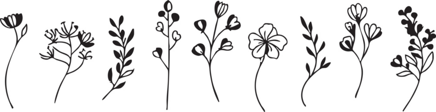 Black and white floral vector set | botanical illustrations | flower clip art eps silhouette