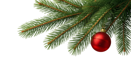 red christmas ball on a pine branch on transparent background