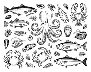 Obraz premium Collection of hand drawn seafood illustrations in black and white