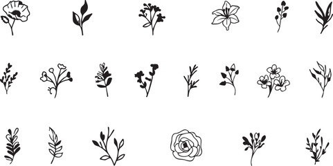 Floral vector pack: hand drawn flowers and leaves illustrations for design eps silhouette