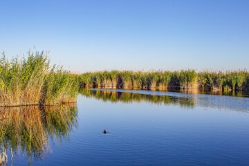 The Sultan Reeds Wetland in Kayseri is considered one of Türkiye's most important bird sanctuaries.
