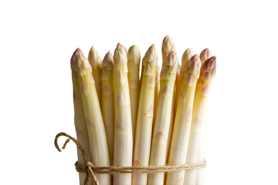 Bunch of fresh white asparagus stalks tied with twine isolated on transparent background