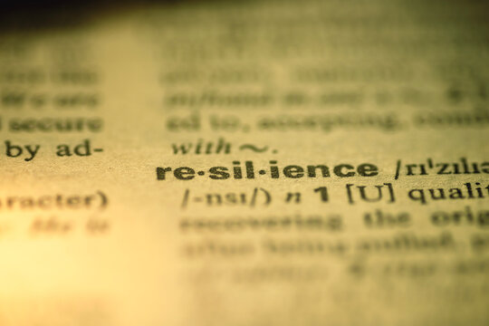resilience word dict