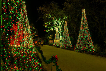 City park illuminated and decorated for Christmas