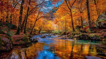 Autumnal Forest Stream With Golden Foliage