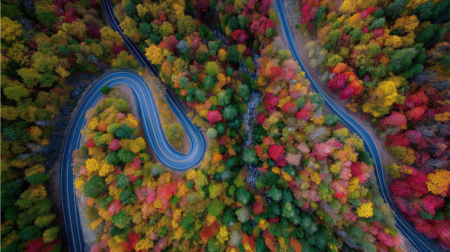 Aerial View of Winding Mountain Road in Autumn with Colorful Trees, for Travel Promotion, Geography Education, and Wallpaper Design