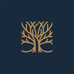 Stylized tree of life symbol with intricate interwoven branches forming a square, a clean and modern nature logo concept © Jarjit-kun