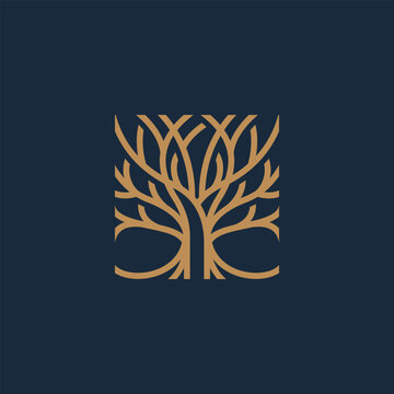 Stylized tree of life symbol with intricate interwoven branches forming a square, a clean and modern nature logo concept