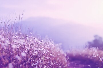 Naklejka premium Pastel Purple Mountain Meadow Flowers