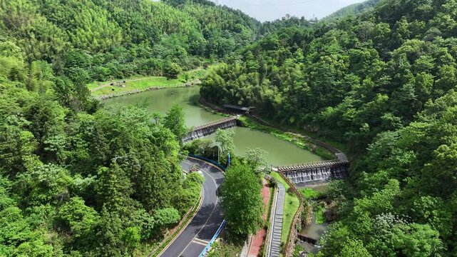 Overlooking a mountain road winding through lush bamboo forests