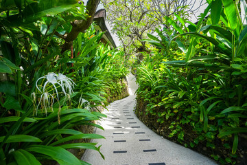A quiet garden without many people passing by where many green tropical plants decorate it