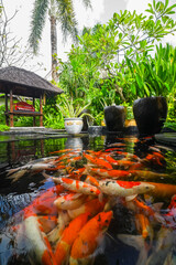 A quiet garden without many people passing by where many green tropical plants decorate it