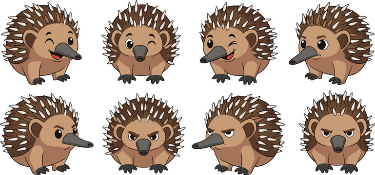 Collection of cute echidna cartoon characters with different expressions isolated on white background happy, sad, angry, and funny echidna vector illustration