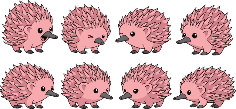 A delightful collection of eight adorable echidna illustrations, each showcasing a unique expression and pose, isolated on white background