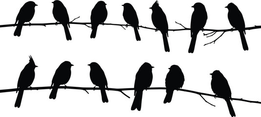 Silhouette of birds sitting on branches, wildlife nature illustration, peaceful avian scene, perched sparrows, artistic black and white design.