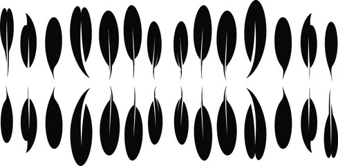 Leaf silhouette pattern vector illustration isolated on transparent background