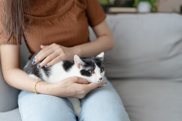 Asian Woman Owner Playing with Cat on Sofa at Home.