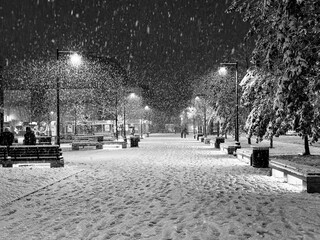 street in the winter night