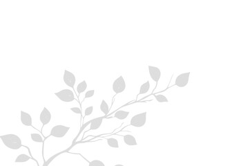 Minimalist Transparent Leaf Natural Shadow Overlay Vector for Creating Sophisticated, Nature-Inspired Mockup Effects