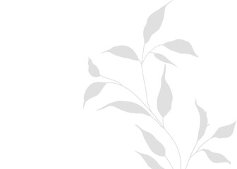 Elegant Natural Vector Leaf Shadow Overlay with Transparent PNG Texture for Enhancing Mockups with Natural Graphic Design