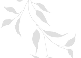 Elegant Vector Leaf Natural Shadow Overlay with Transparent PNG Texture for Enhancing Mockups with Natural Graphic Design