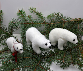 Famille ours en ballade