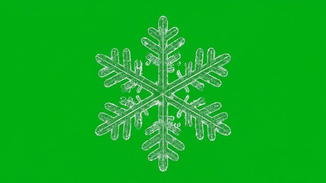 snowfal leaf on a green background