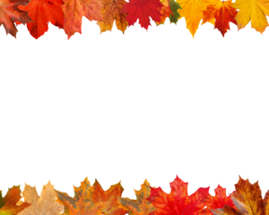 PNG image of Vibrant autumn foliage frame with colorful maple leaves against a perfect for seasonal designs and fallthemed promotions on transparent background
