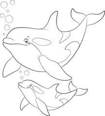 Black and white line art coloring page. Marine wild animals.A cute mother orca and her happy calf
