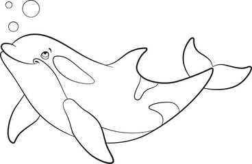 killer whale01_coloring page