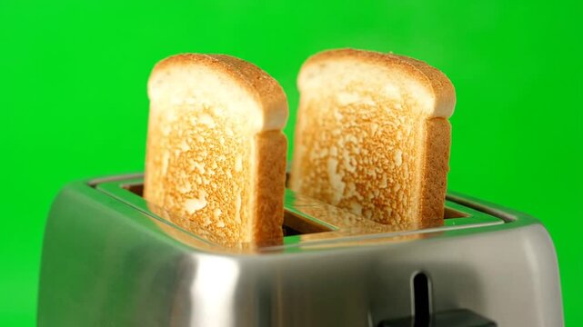 bread in toaster on green screen