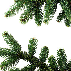 Obraz premium Close Up Of Lush Green Fir Tree Branches With Sharp Needles isolated on transparent background. PNG die-cut for advertising
