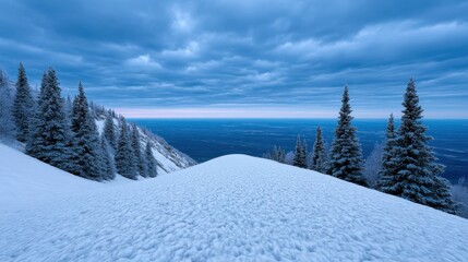 Expansive snowy landscape with rolling hills and evergreen trees under a dramatic cloudy sky at twilight. World Snow Day