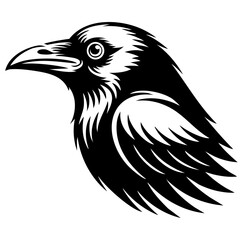 Obraz premium Raven Bird