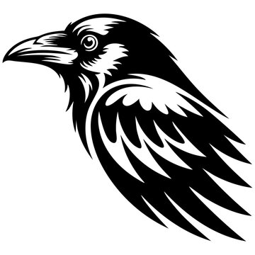 Raven Bird