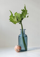 Minimalist still life with Cabbage Thistle flower in the color glass vintage vase and small ball of Pink Calcite against  high key background. 