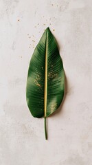 Large green tropical leaf with golden specks on a textured light background, showcasing natural beauty and organic design elements for creative projects and decor
