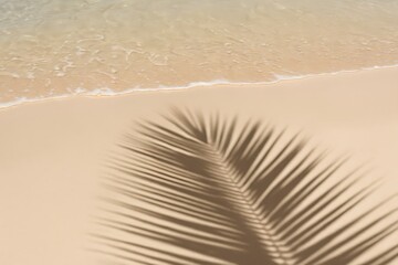 Selective focus of summer and holiday backgrounds concepts with shadow of coconut leaf on clean sand beach