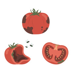 Flat vector illustration of a rotten tomato with dark spots and bruised skin.