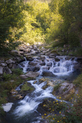 Exploring the enchanting witches' forest in Tredos, Vall d'Aran, Catalonia