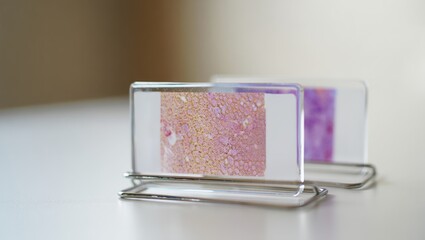 Microscope slide on clear glass carrier atop pristine white lab surface, view